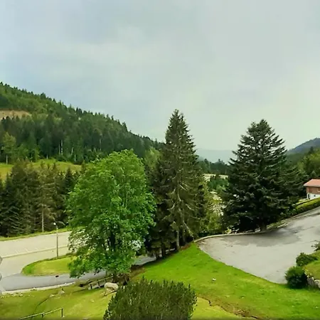 Le Chitelet 206, Vue Hohneck *