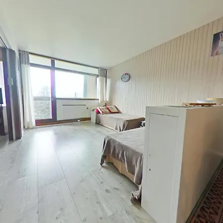 Le Chitelet 206, Vue Hohneck * La Bresse