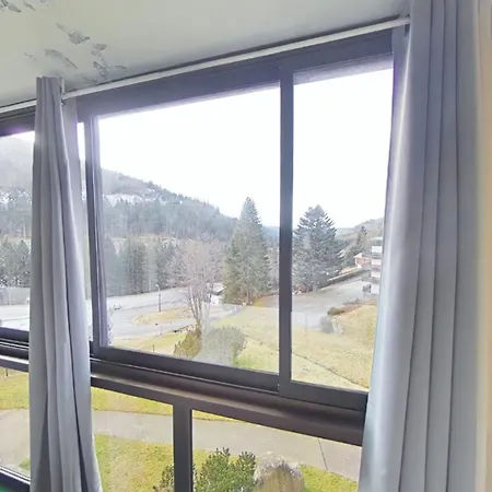 Apartament Le Chitelet 206, Vue Hohneck *